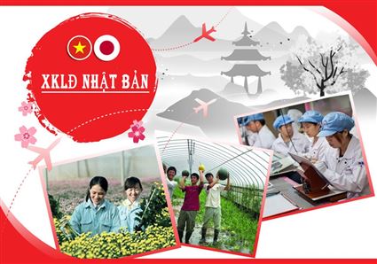 Giới thiệu về DECO